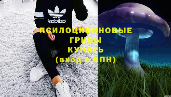 mdpv Верея