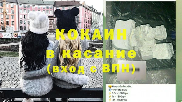 шишки Бронницы
