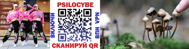 Купить где  Назарово  Псилоцибиновые грибы MAGIC MUSHROOMS 